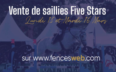 Auction of coverings Five Stars X Fences Web