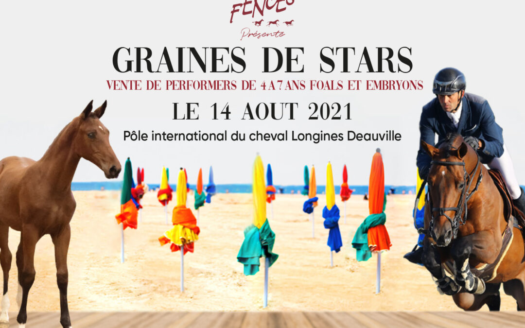 « GRAINES DE STARS »