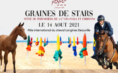 « GRAINES DE STARS »