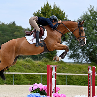 PURSA VAN DEN DAEL