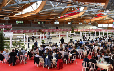 Deauville Selection Auction: a successful bid