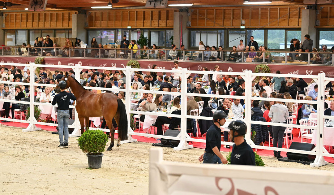 2023 Deauville Selection Auction