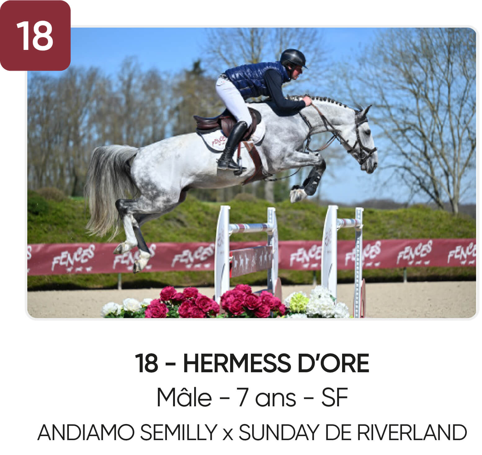 18 - HERMESS D'ORE