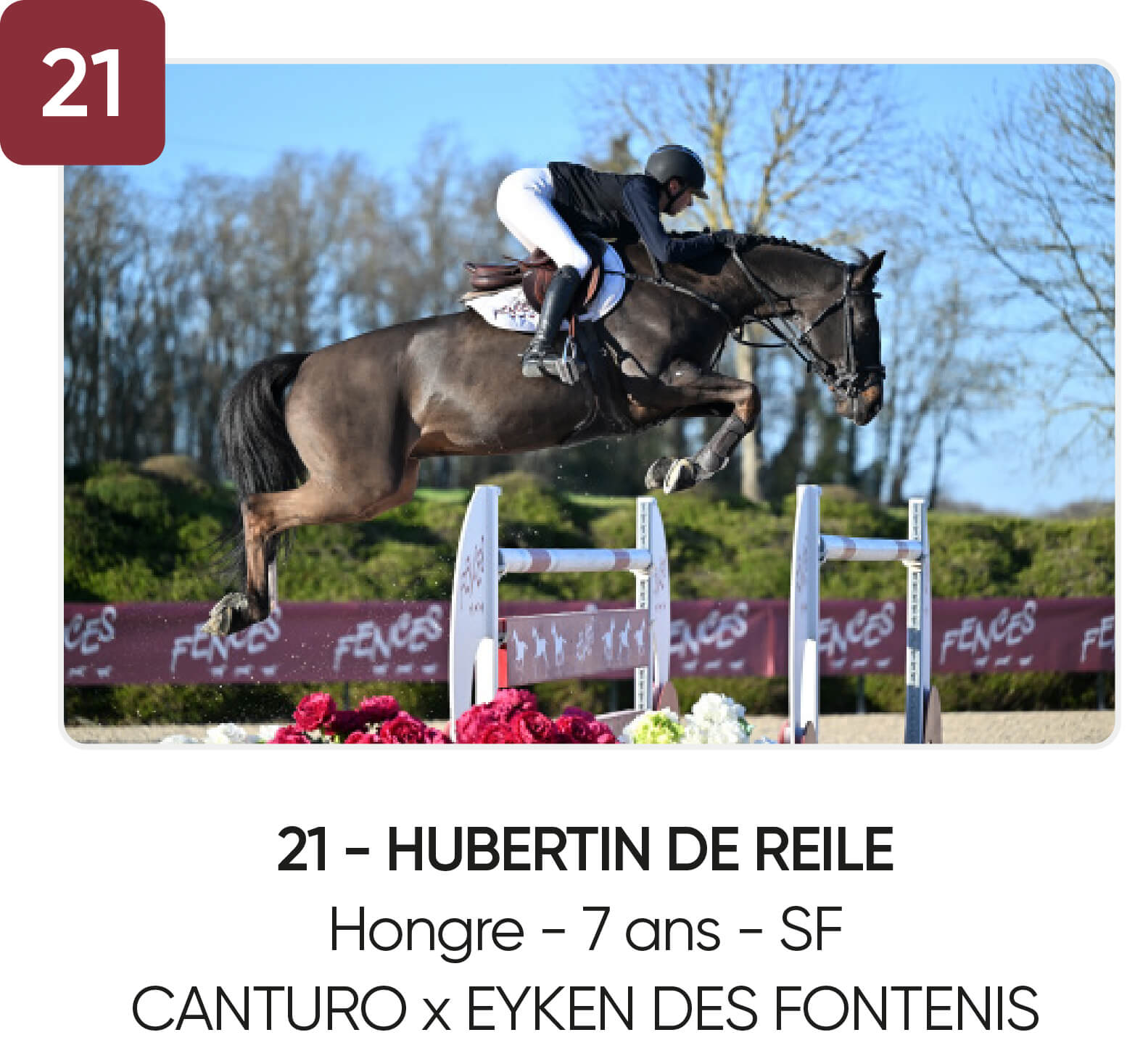 21 - HUBERTIN DE REILE