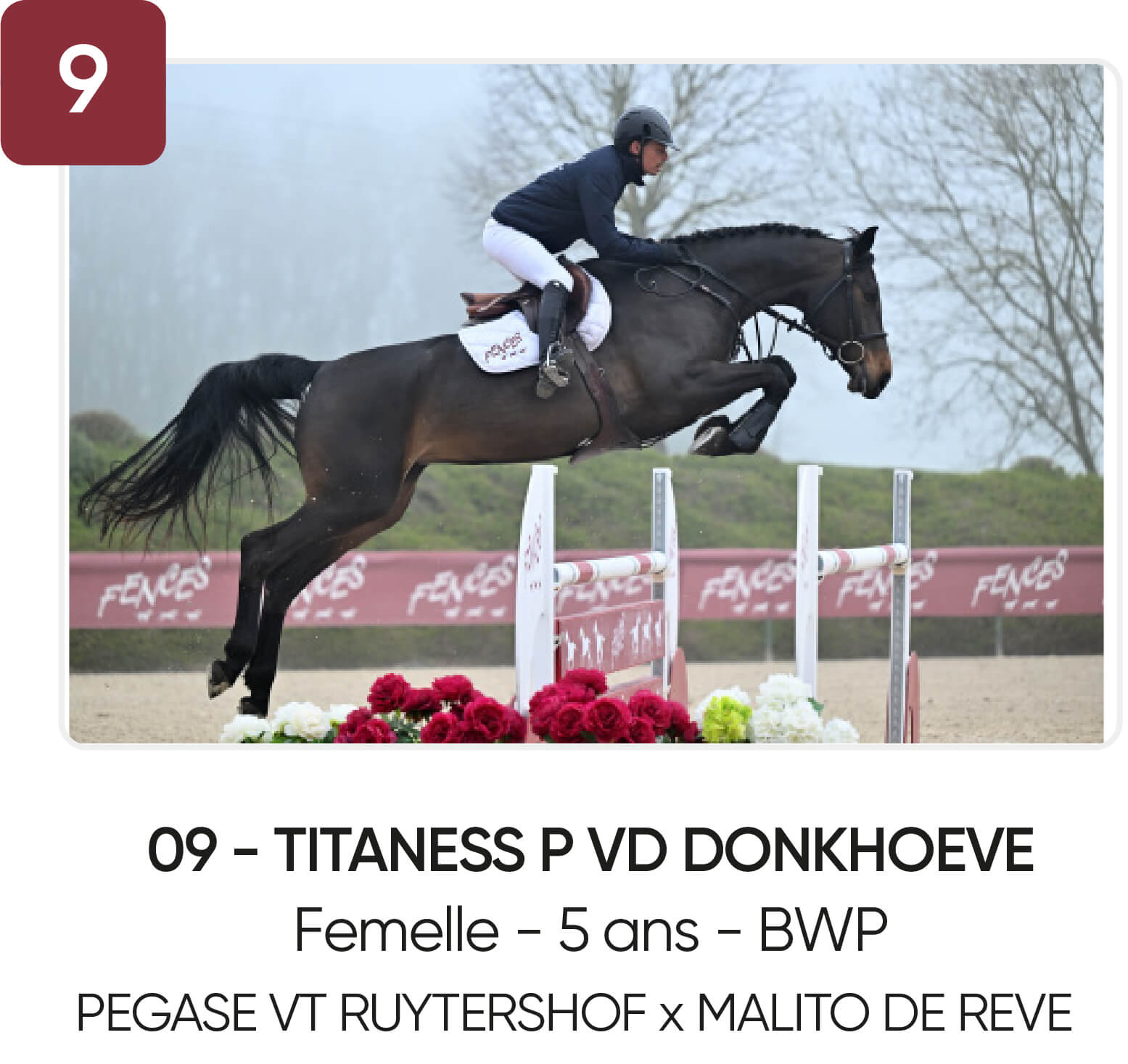 09 - TITANESS P VD DONKHOEVE
