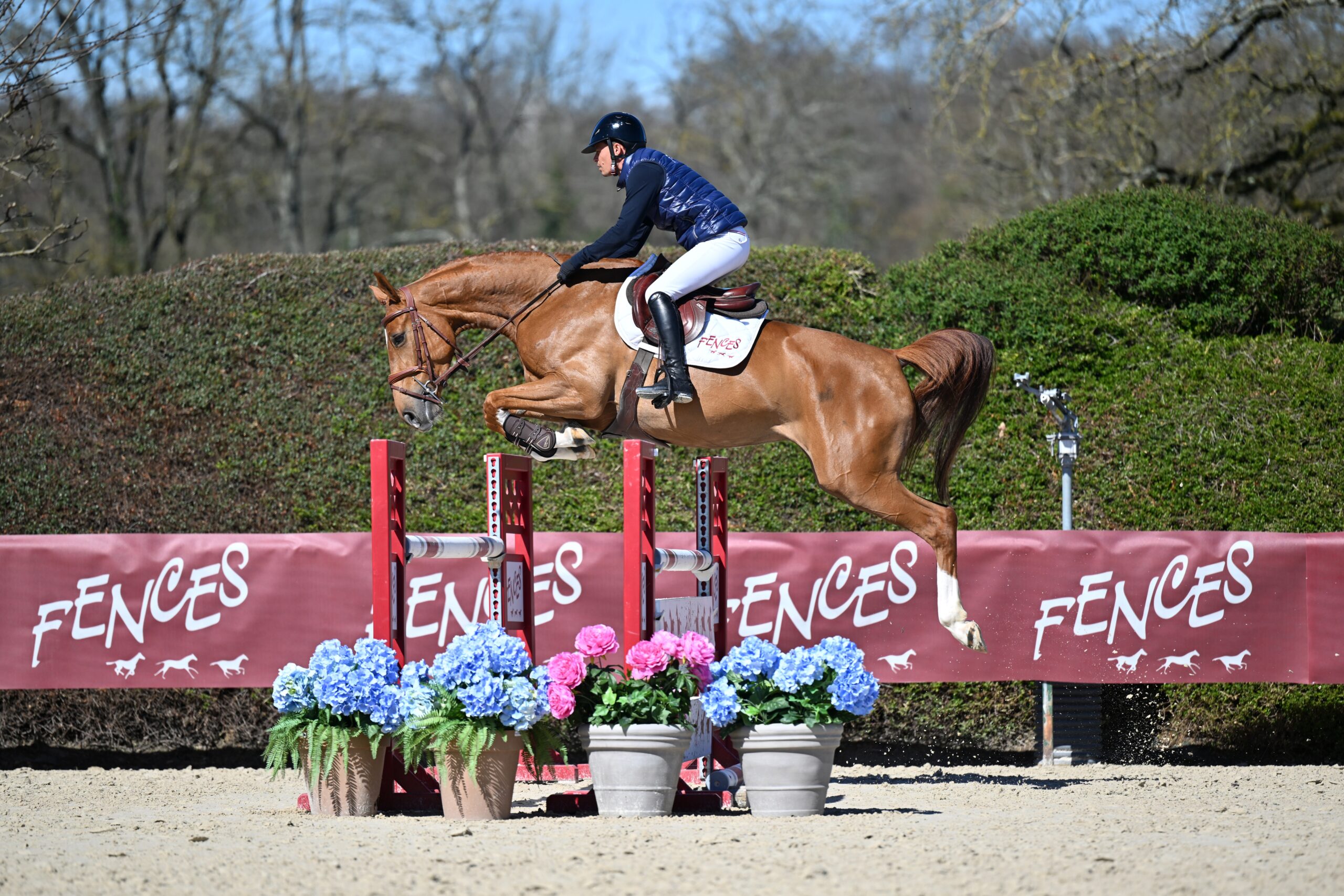 02 - JAVA DU REHTHAL (5 ANS - FEMELLE - DIAMANT DE SEMILLY x ARTHUR V)