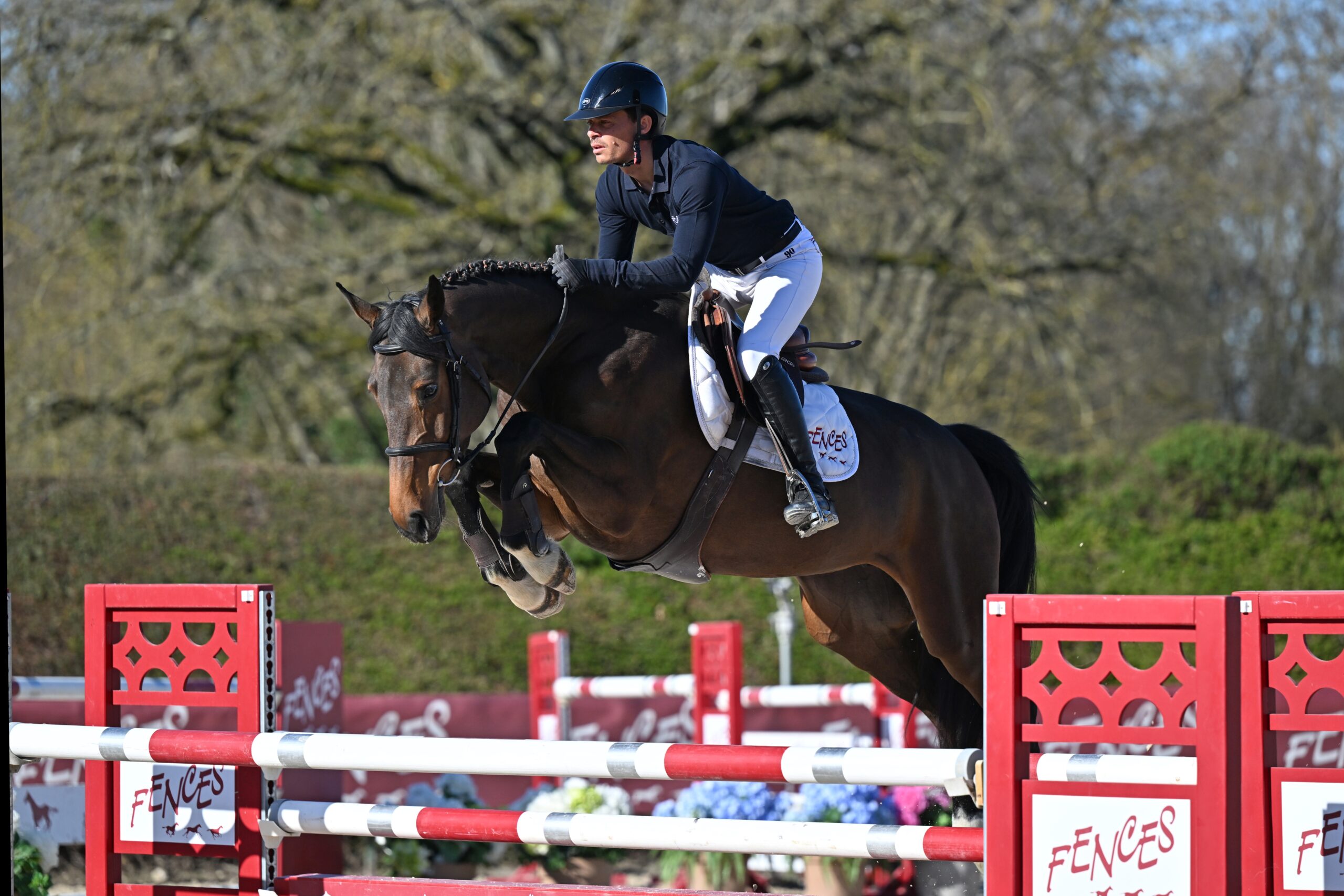 01 - DOLLAR GIRL CC (5 ANS - FEMELLE - DIARADO x CARETINO)