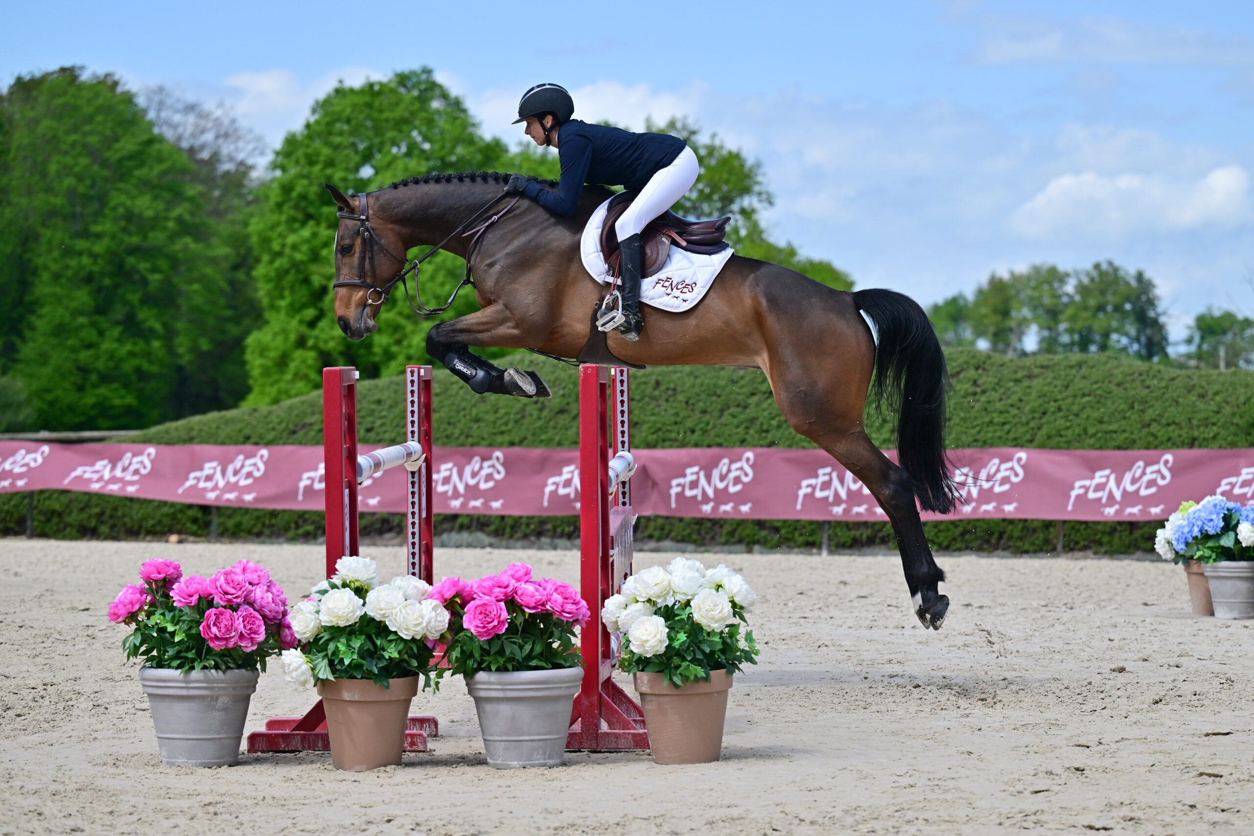 05 - IRIS HOY (6 ANS - FEMELLE - VARECH HOY x KASHMIR VAN'T SCHUTTERSHOF )