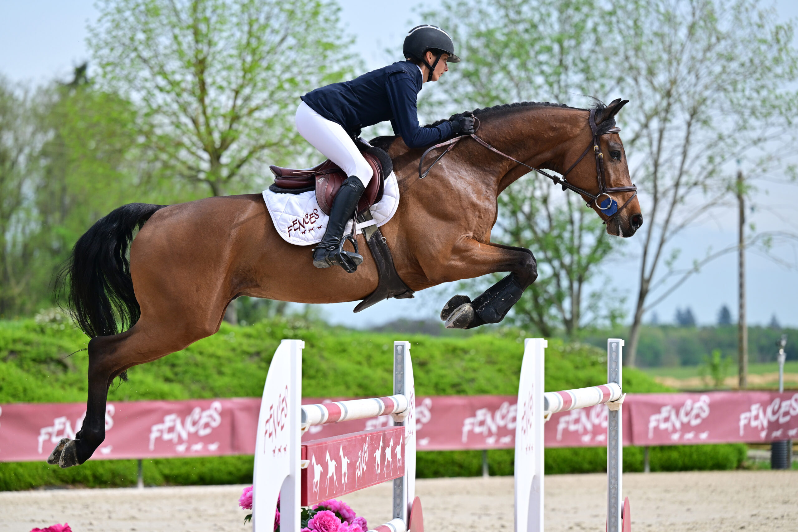 11 - REAL MAGIC VAN DE ROSTAL (7ANS - HONGRE -LAVALLINO TER KLOMP x CONTENDER)