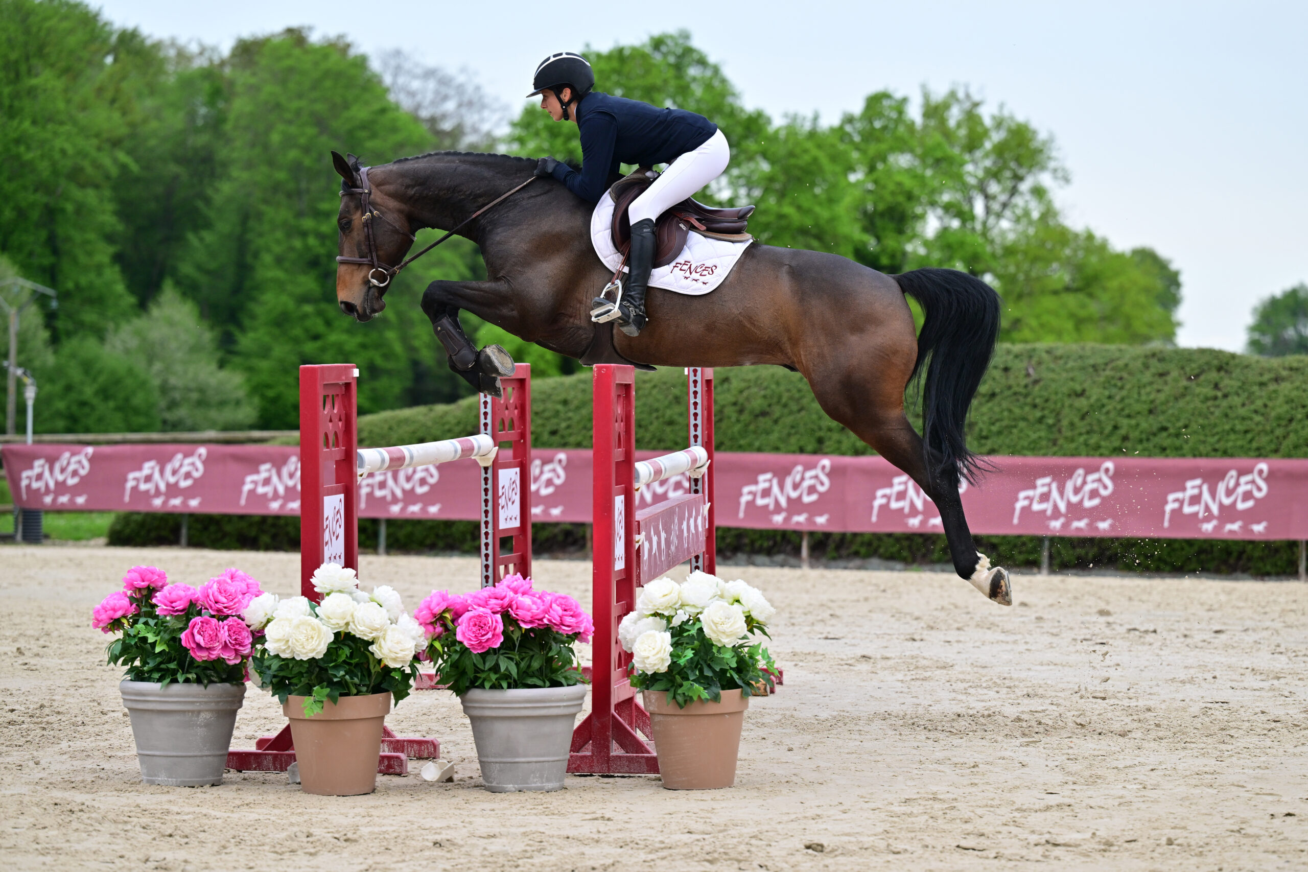 06 - IXORA DES FORETS (6 ANS - HONGRE - BY CEIRA D'ICK x LE TOT DE SEMILLY)