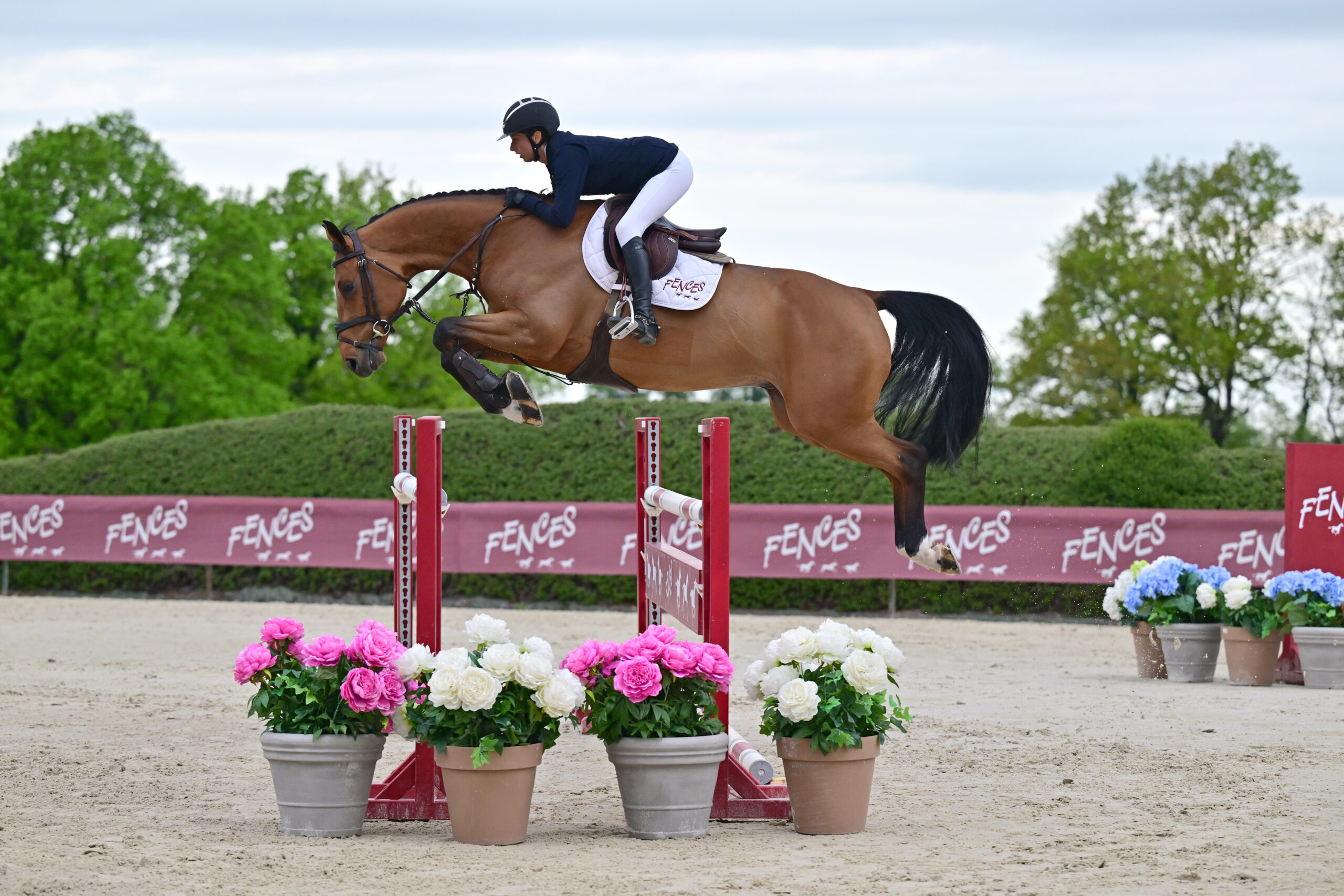 10 - MIDNIGHT SPIROS (7ANS - HONGRE (SPIROS Z x INDORADO)