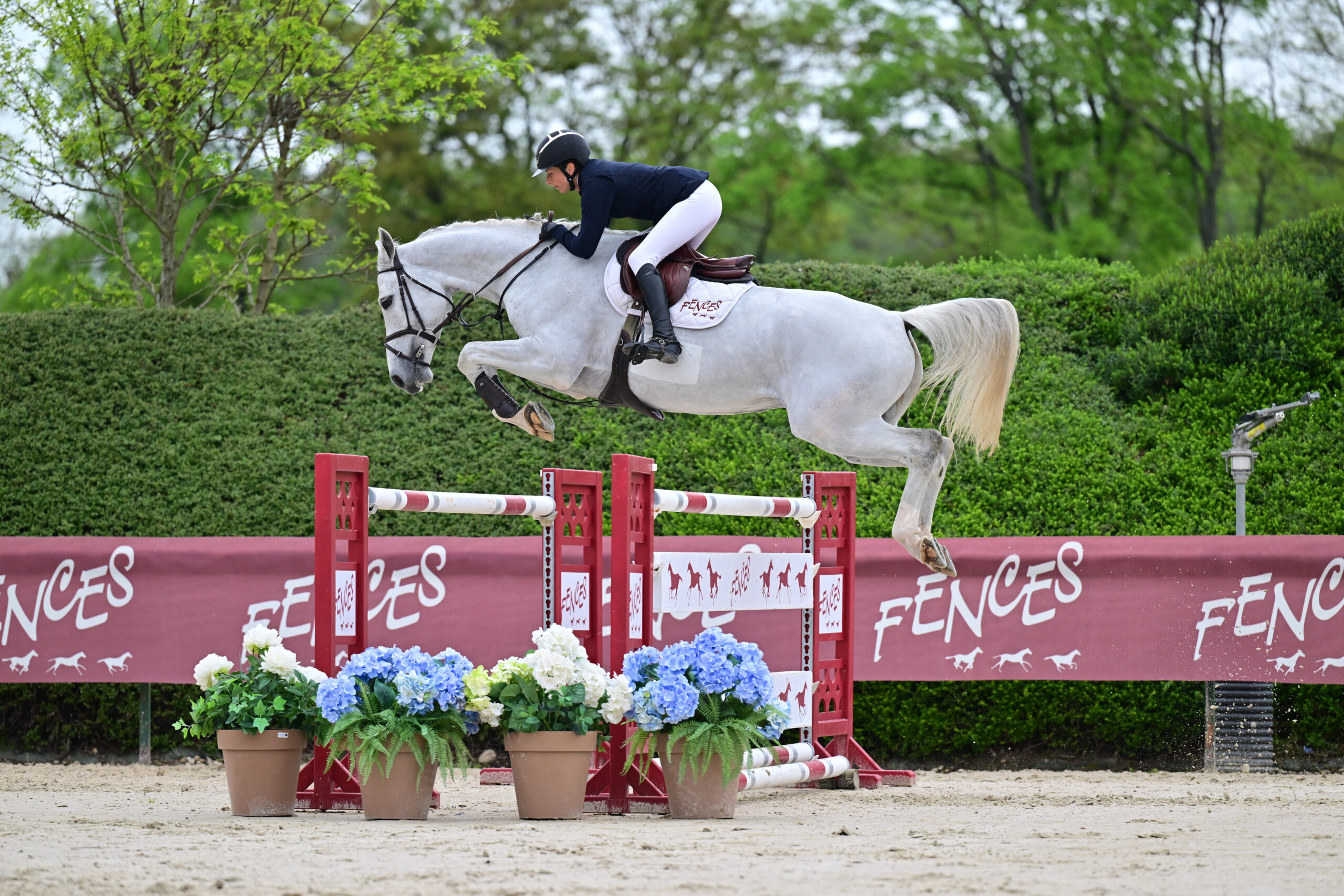 08 - DOUBLE R BLACK DIAMOND (7 ANS - HONGRE - CORNET OBOLENSKY x RED DEVIL)