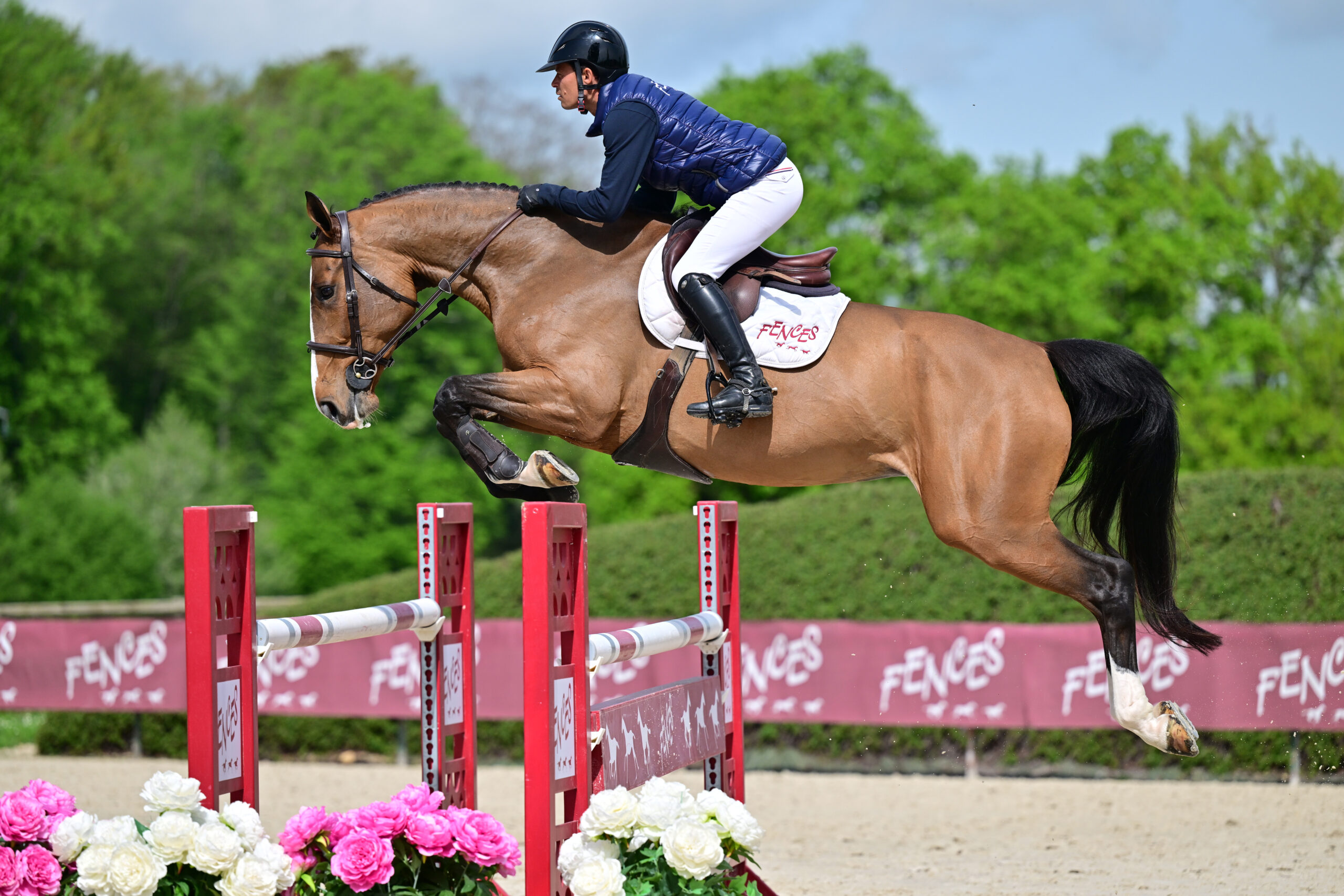 07 - SIESTA VD BISSCHOP (6 ANS - FEMELLE -DENZEL V'T MEULENHOF x HEARTBREAKER)