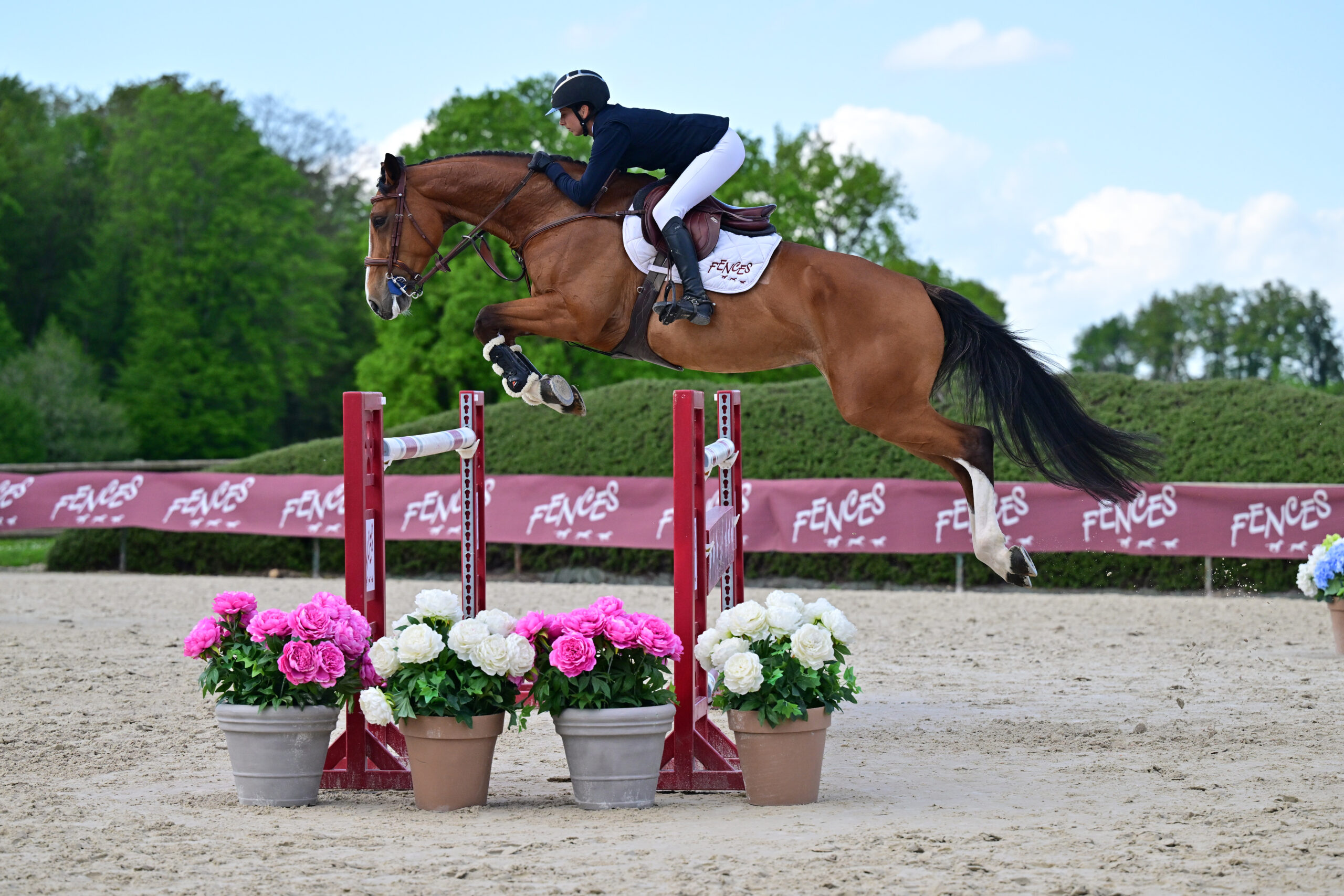 09 - HERMIONE DE JAURAND (7 ANS - FEMELLE -TANGELO VAN DE ZUUTHOEVE x QUAPRICE BOIMARGOT QUINCY)