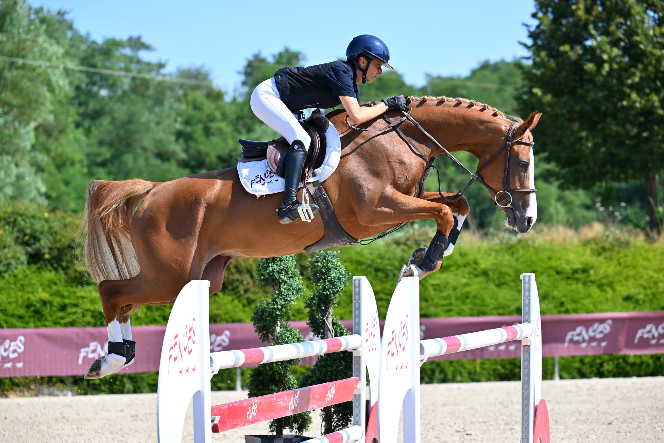 20 - ATHENE LU' (FEMELLE - 5 ANS - FEMELLE - ANDIAMO SEMILLY x AHORN Z)