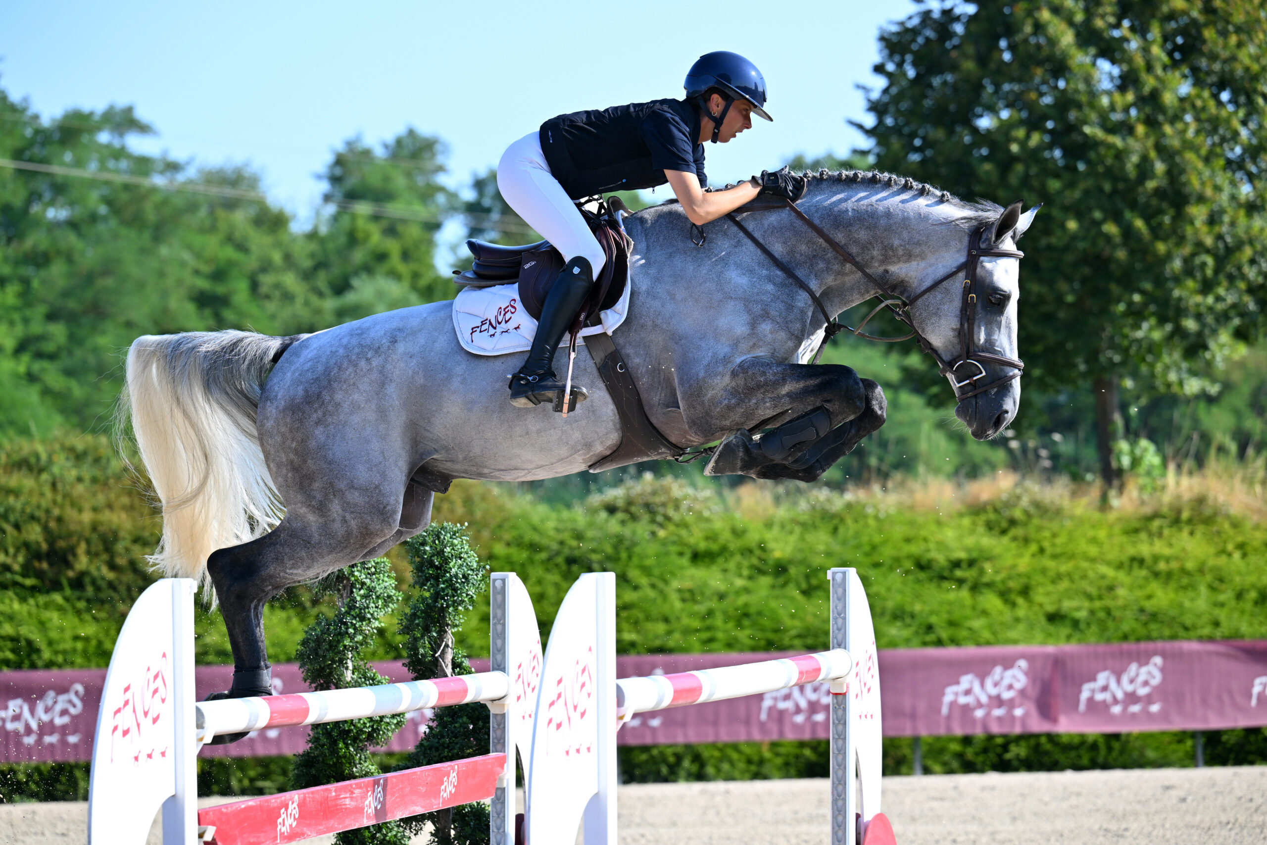 21  - CELECTRIK D	(MÂLE - 5 ANS - CORNET DU LYS x CARTHAGO)