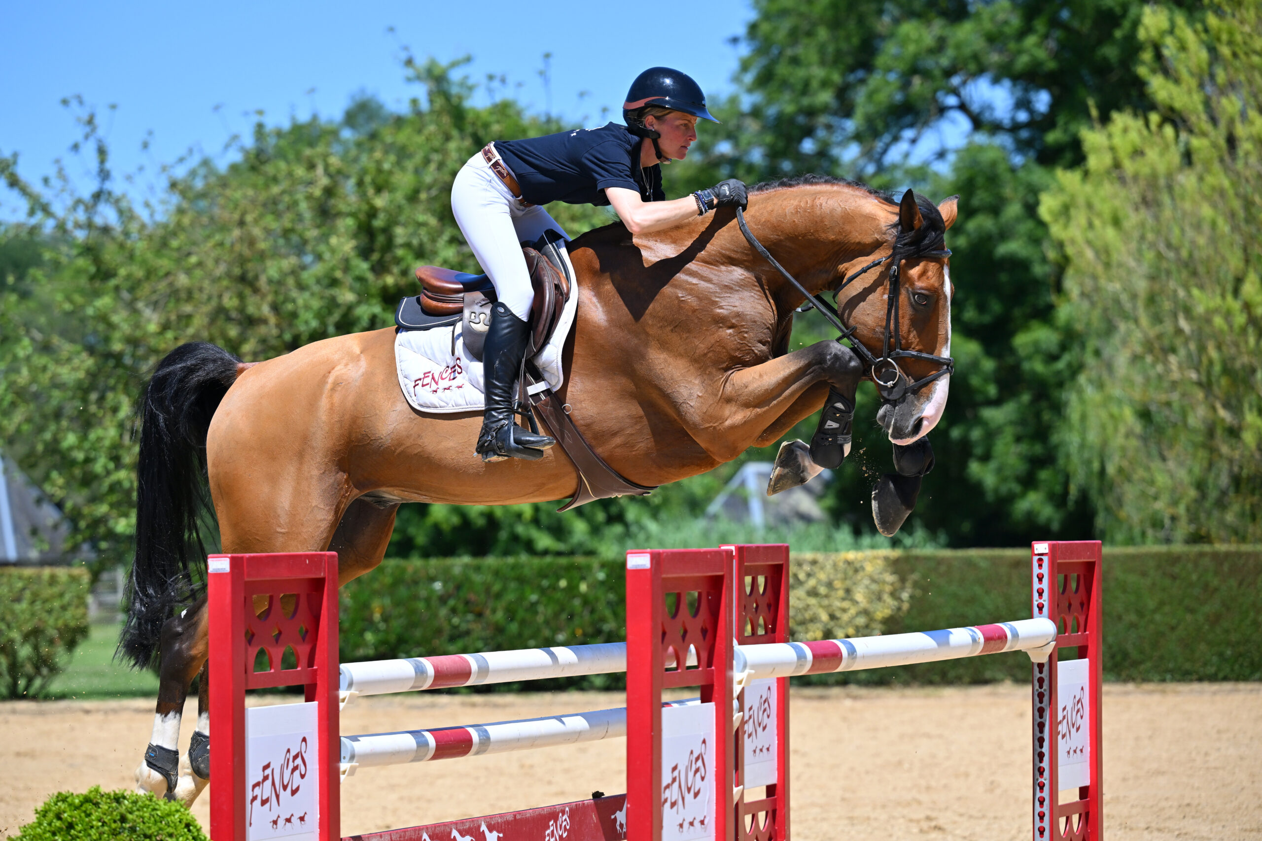 26 - DJANGO LIFE DE ROCK 1 Z (HONGRE - 6 ANS - DOMINATOR 2000 Z x CANTHO Z)