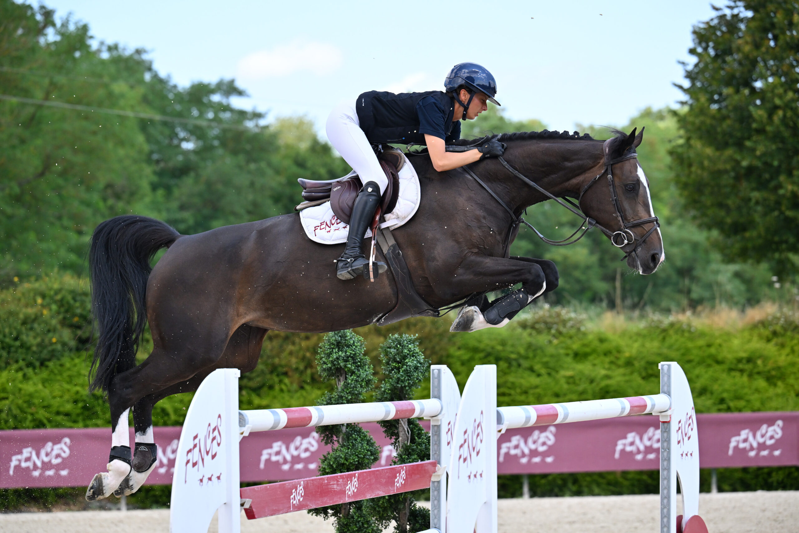 30 - DO D'O Z (FEMELLE - 7 ANS - DOMINATOR 2000 Z x NABAB DE REVE)