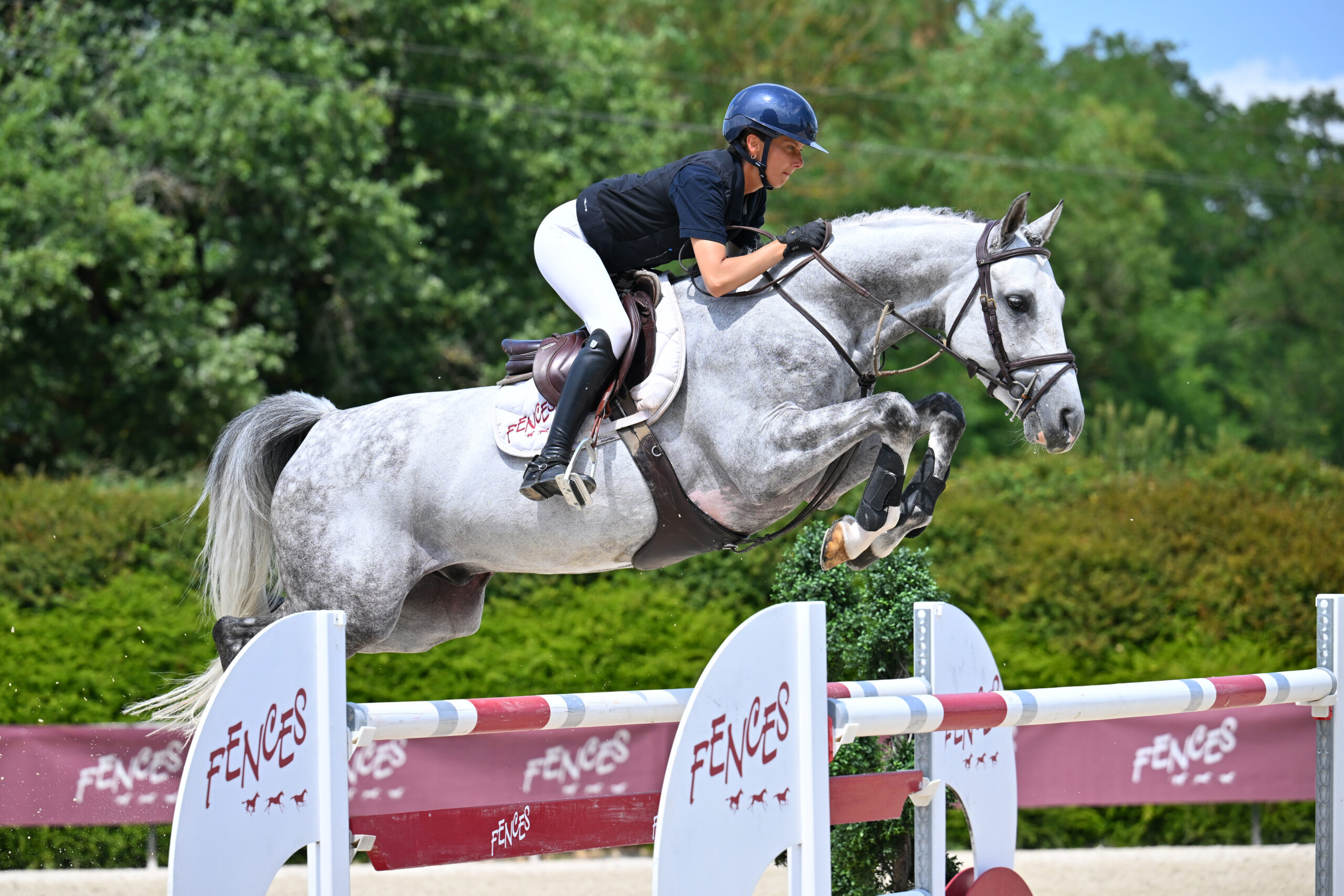 31 - IRIAK DU VAL GUERARD (HONGRE - 7 ANS - MYLORD CARTHAGO x RYON D'ANZEX)