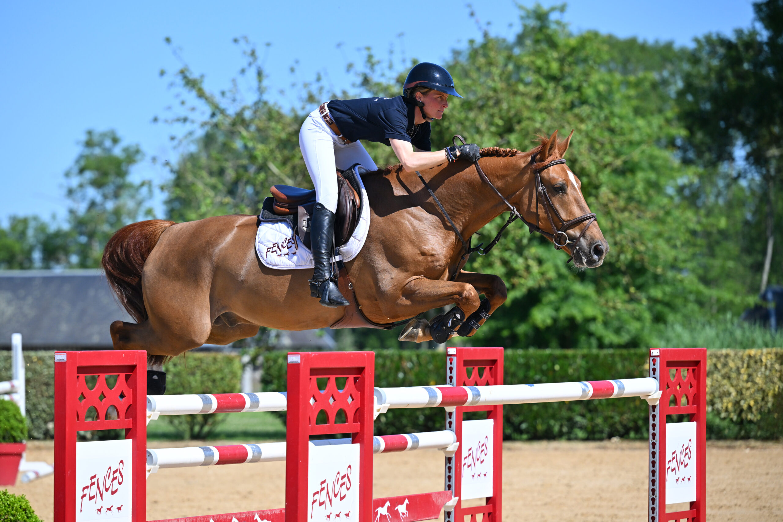 32 - IS GOOD D'OHARA (HONGRE - 7 ANS - OGRION DES CHAMPS x IDEM DE B'NEVILLE)