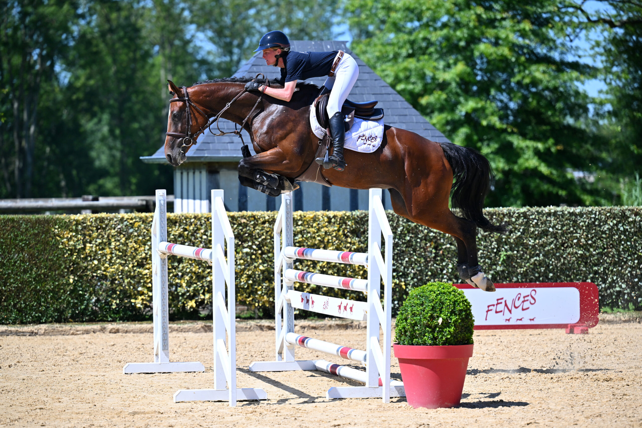 22 - KALINE DE LA MAISON (FEMELLE - 5 ANS - CONTENDRO x KEOPS DU VINNEBUS)