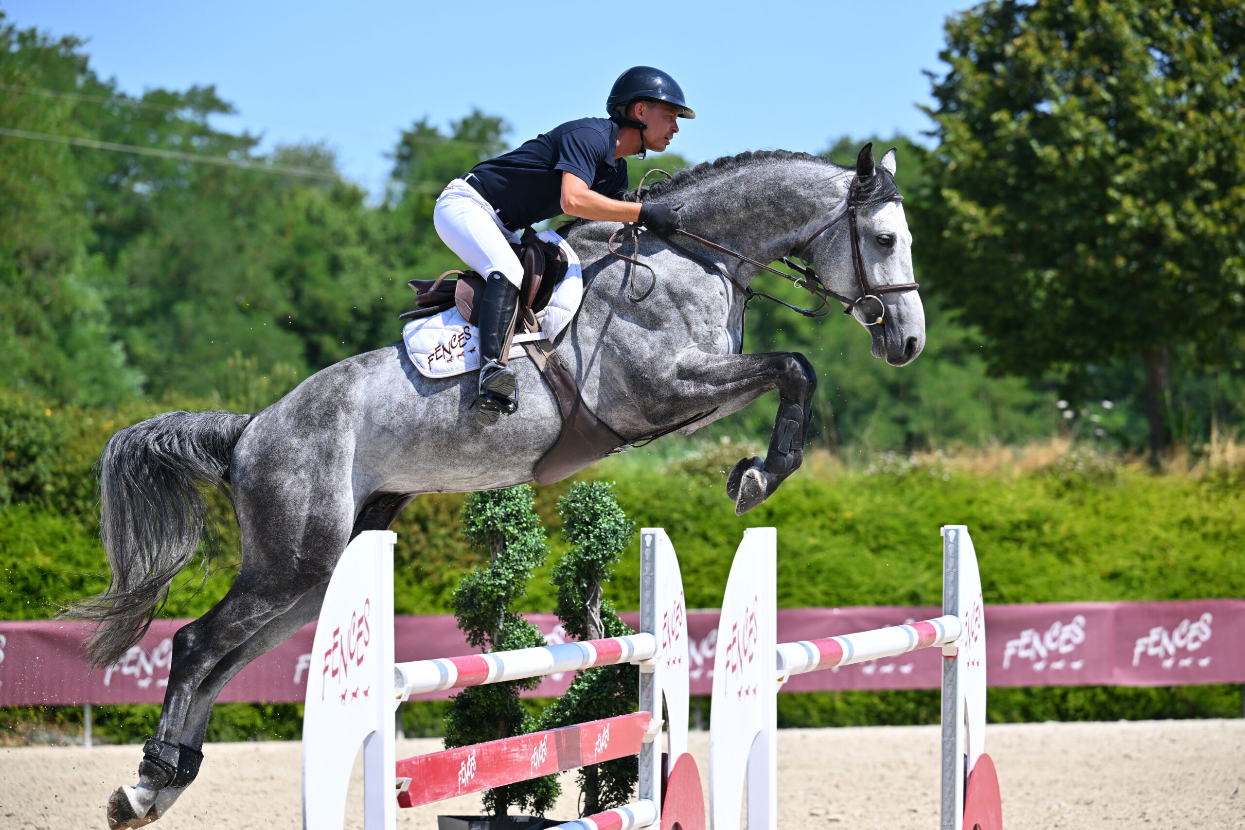 23 - KANNONBALL GRAM'S (MÂLE - 5 ANS - CHACOON BLUE x CONTENDRO)