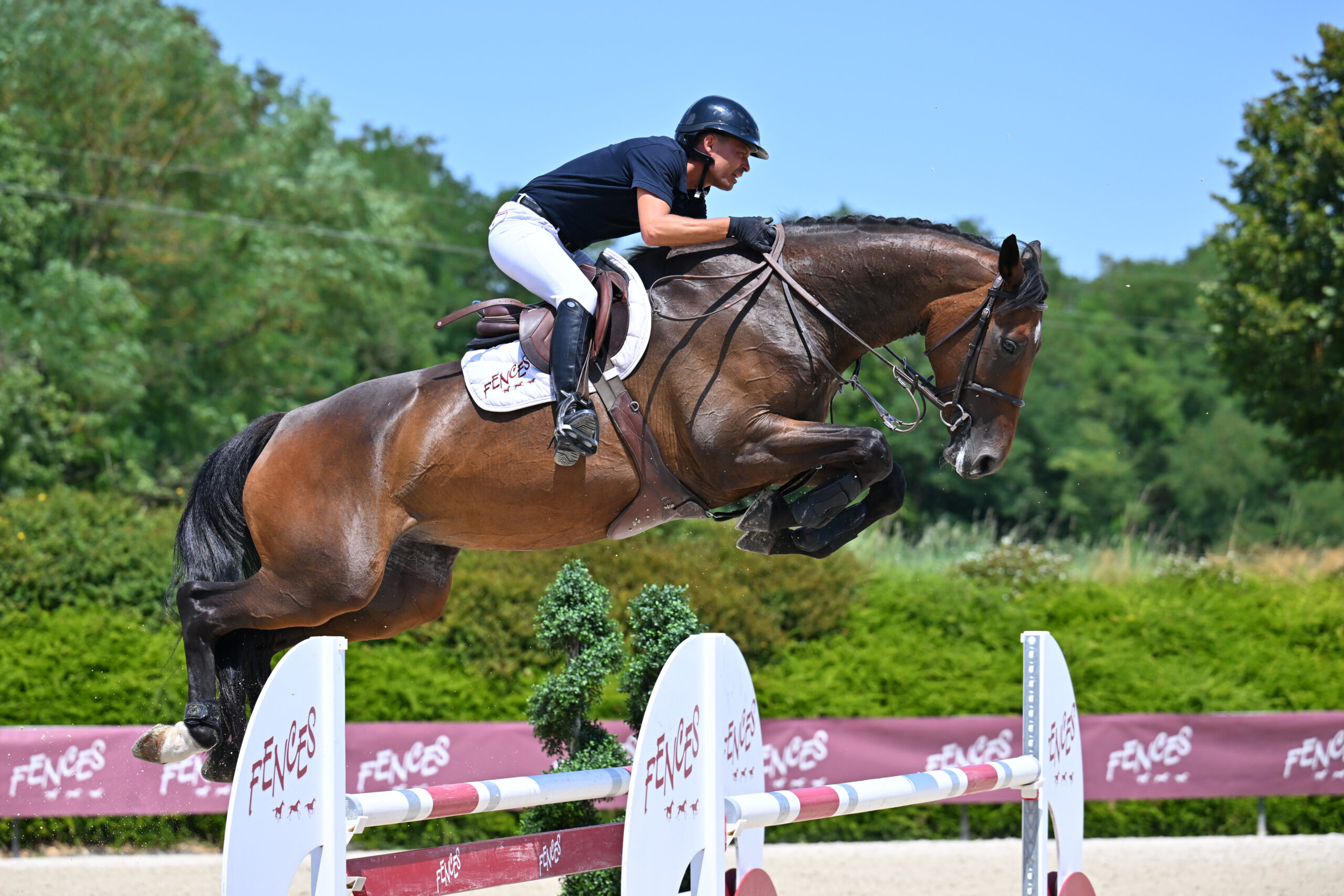 25 - KONTARA D ARCOS (FEMELLE - 5 ANS - CONTHARGOS x QUIDAM DE REVEL)