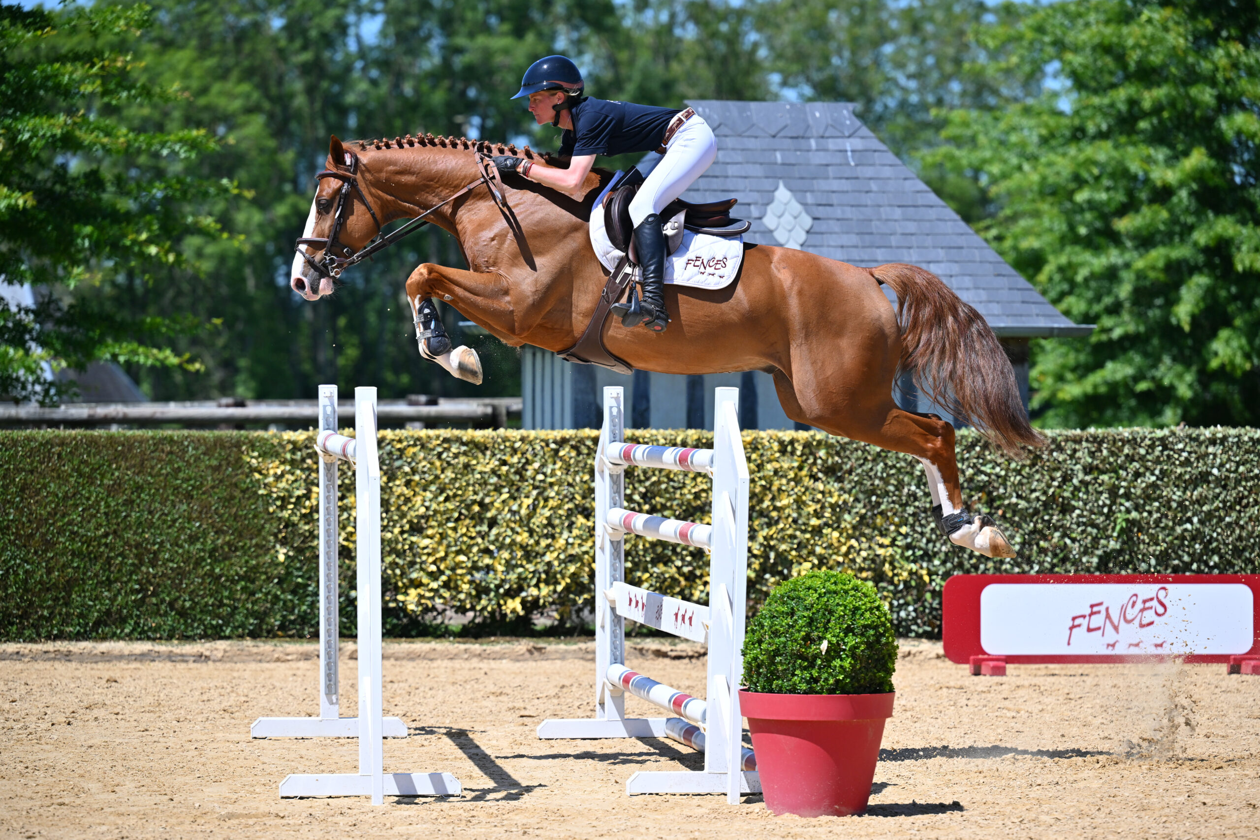 33 - MAYBE BLUE DE LA ROQUE (HONGRE - 7 ANS	HONGRE	CHACOON BLUE x ODERMUS)