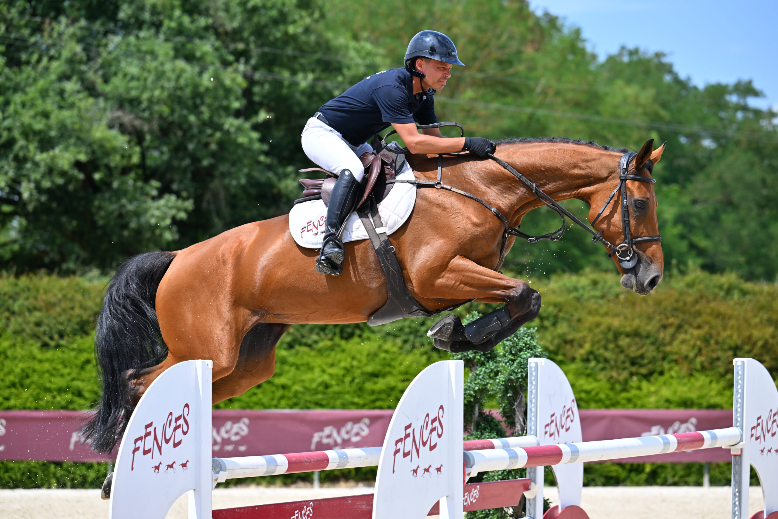 29 - THILLY VAN HET LINDEHOF (FEMELLE - 6 ANS - AMADEO VAN'T VOSSENHOF Z x DE FLOR 111 Z)
