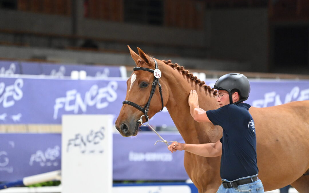 LA VENTE DE SELECTION DEAUVILLE : CHAUD DEPART