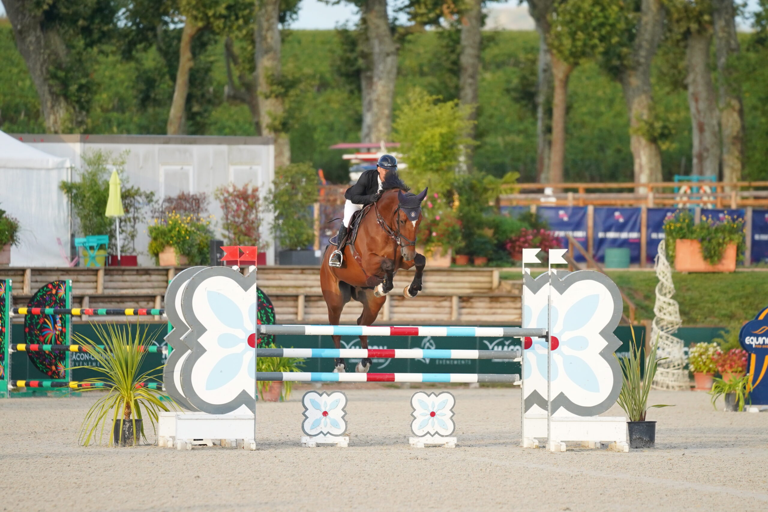 28 - IDEAL TRICASTIN (HONGRE - 7 ANS - OGRION DES CHAMPS x EMIR PLATIERE)