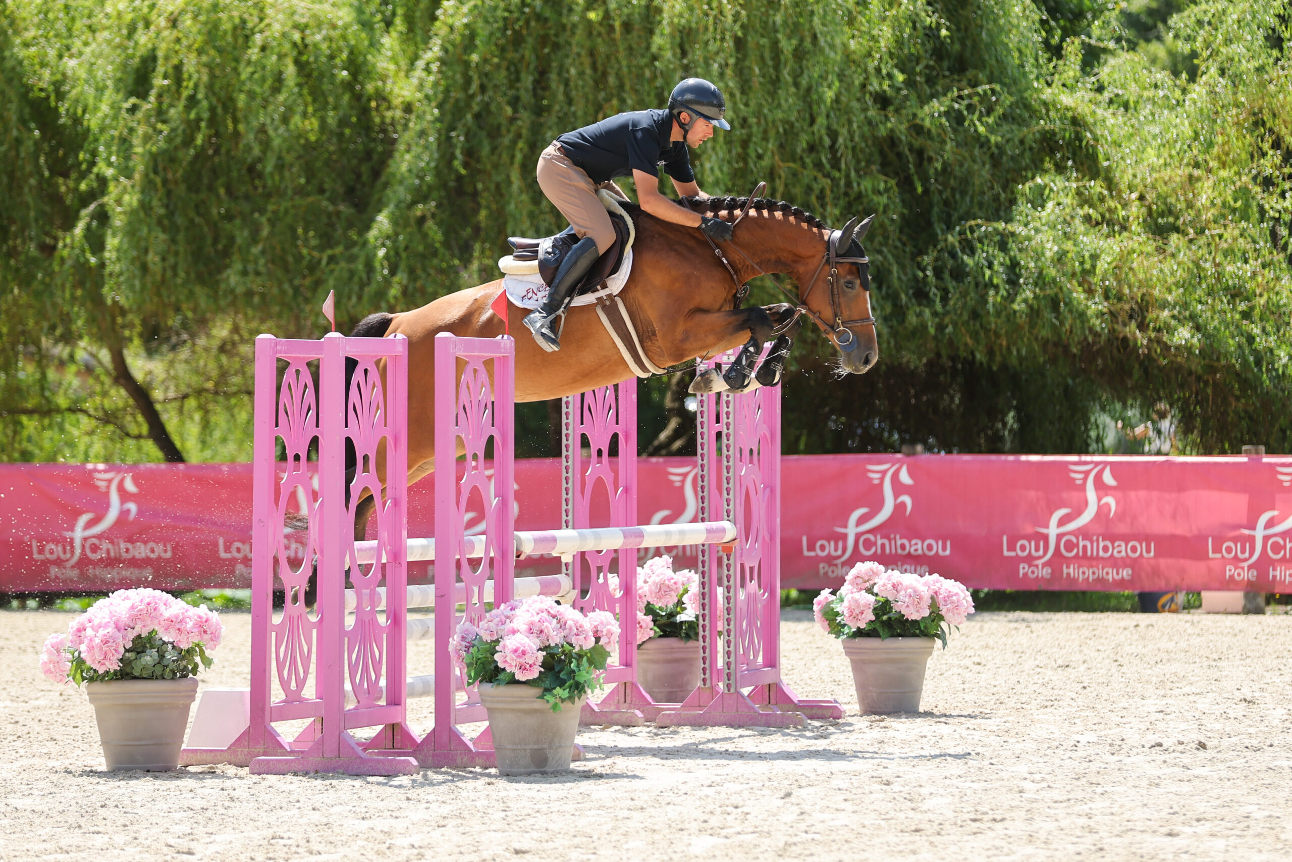 20 - CREMONA PS (FEMELLE - 4 ANS - CONTHARGOS x CHACOON BLUE)