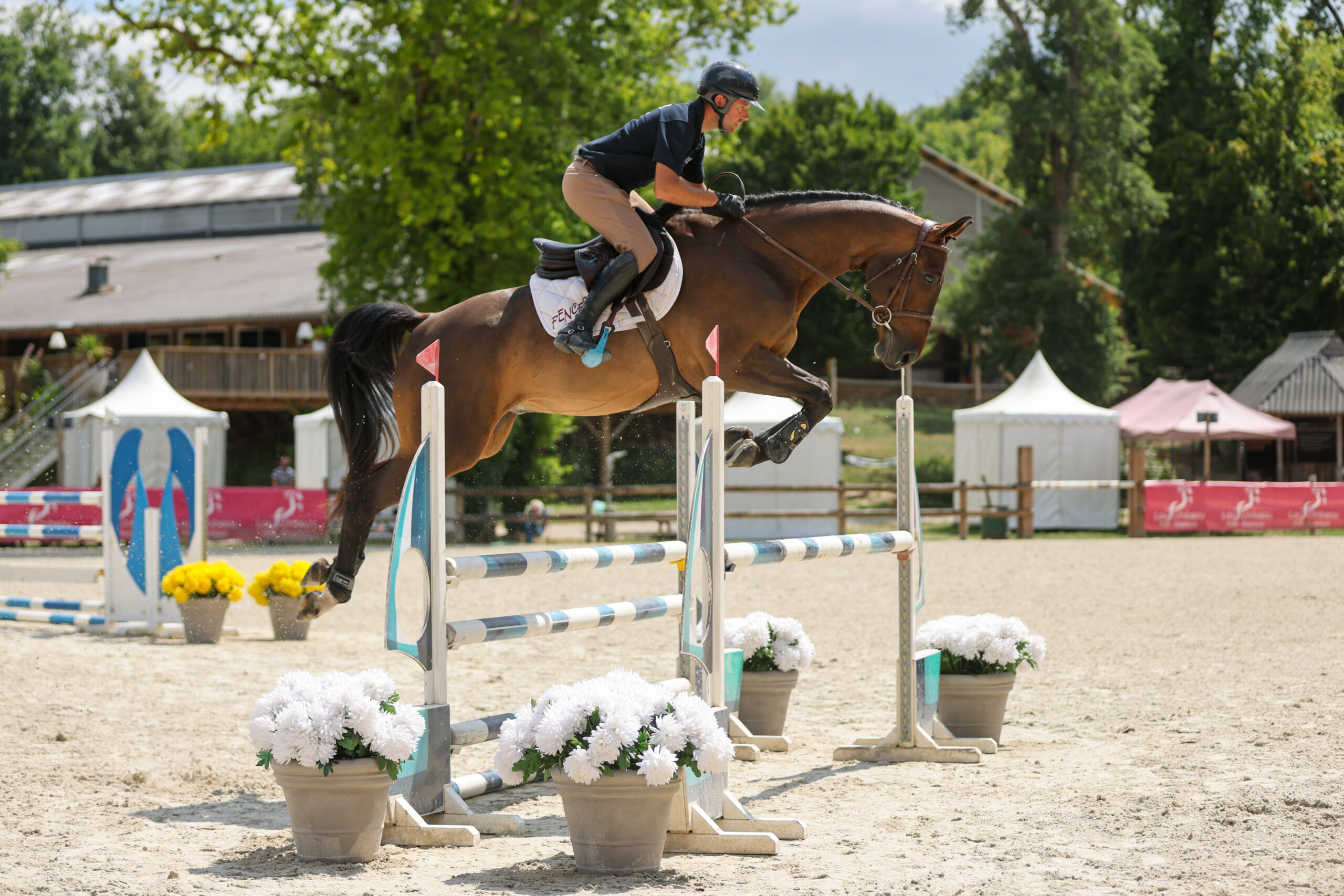 21 - KADOR MOUCHE (HONGRE - 5 ANS - EXPRESS DE HUS x L'ARC DE TRIOMPHE)