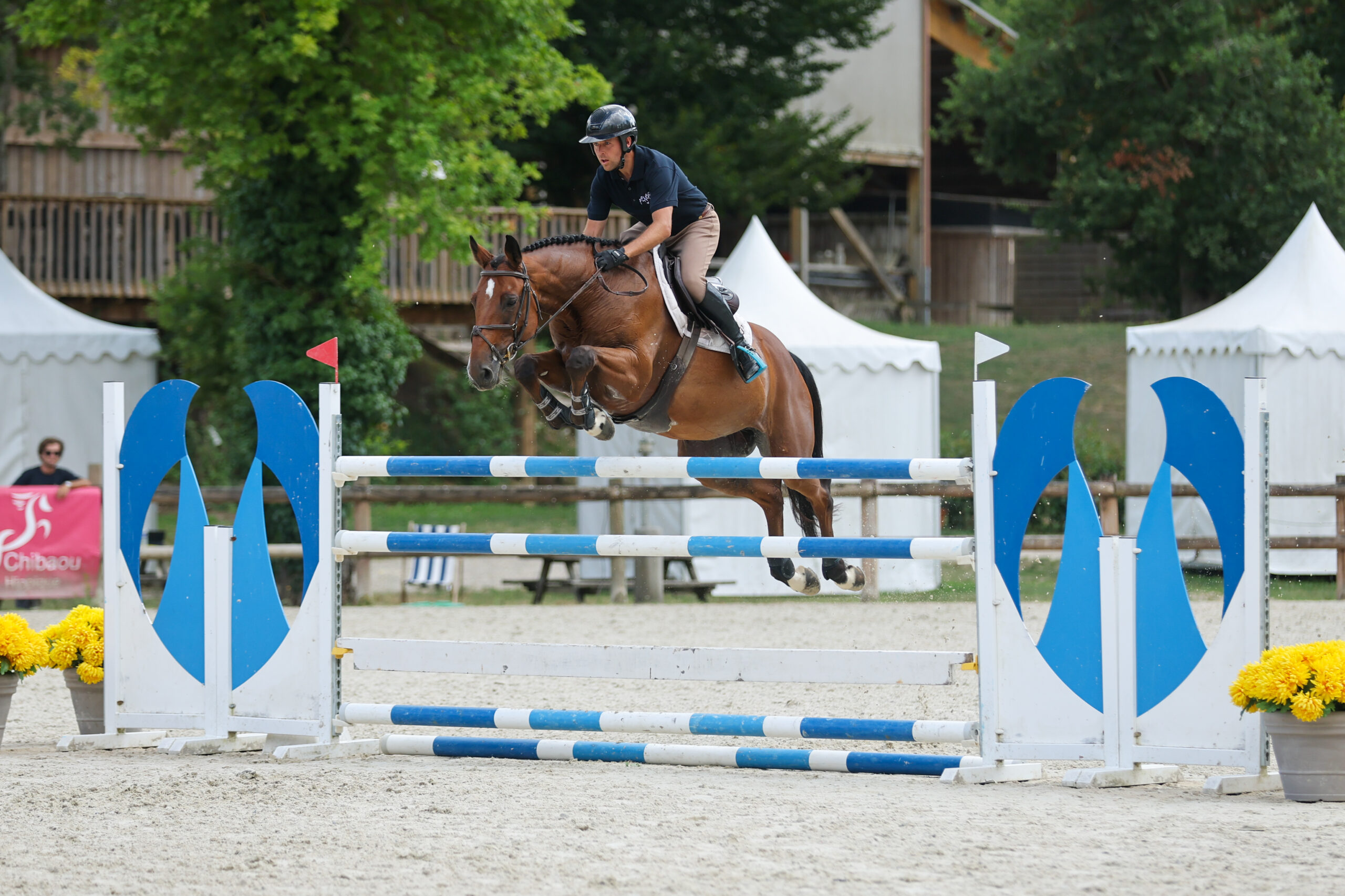 30 - IZZI TOP DE LA NOUE AA (HONGRE - 7 ANS - UPSILON x JALIENNY)