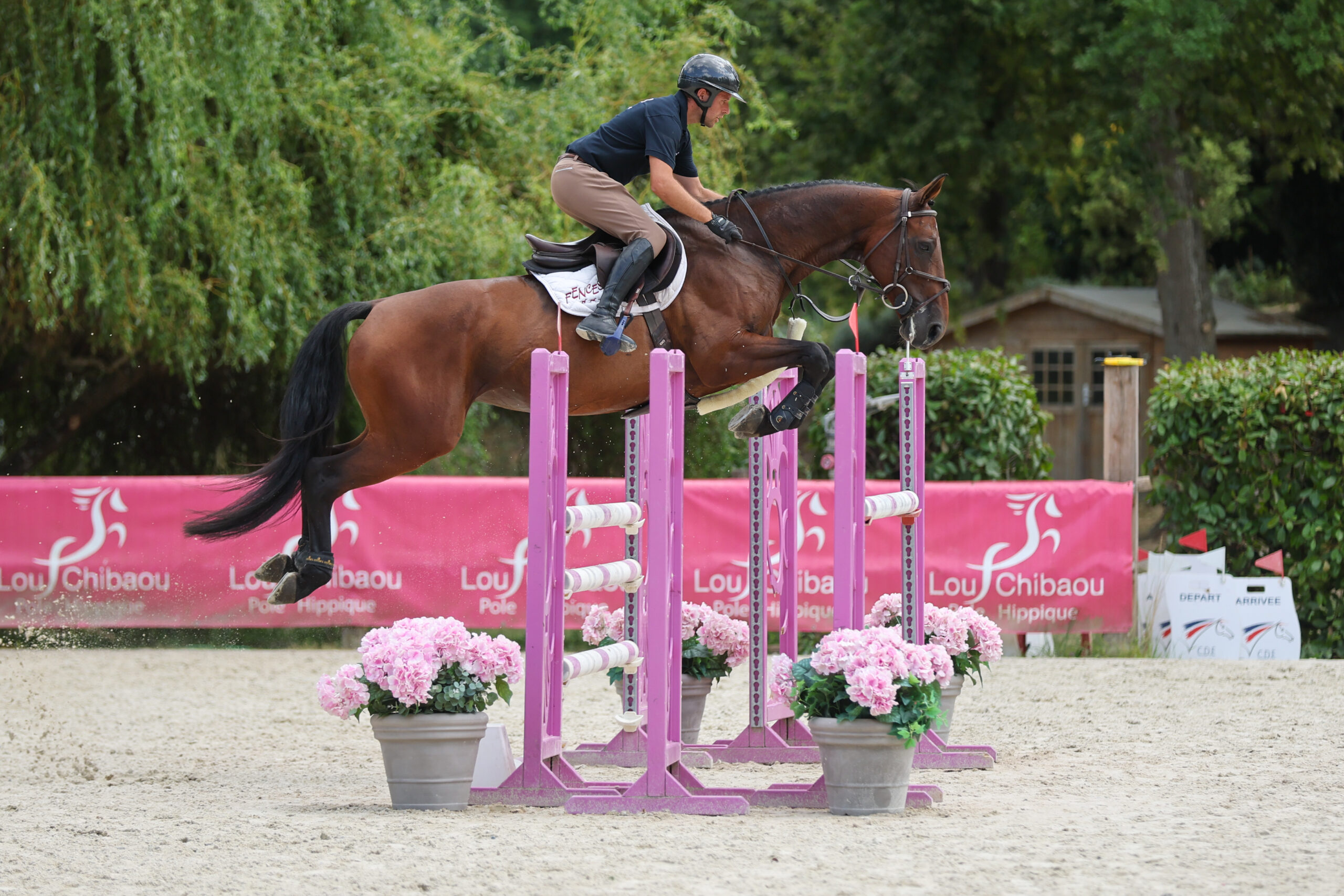 29 - ISIA DU MONTEIL (FEMELLE - 7 ANS - UNTOUCHABLE M x OLALA DE BUISSY)