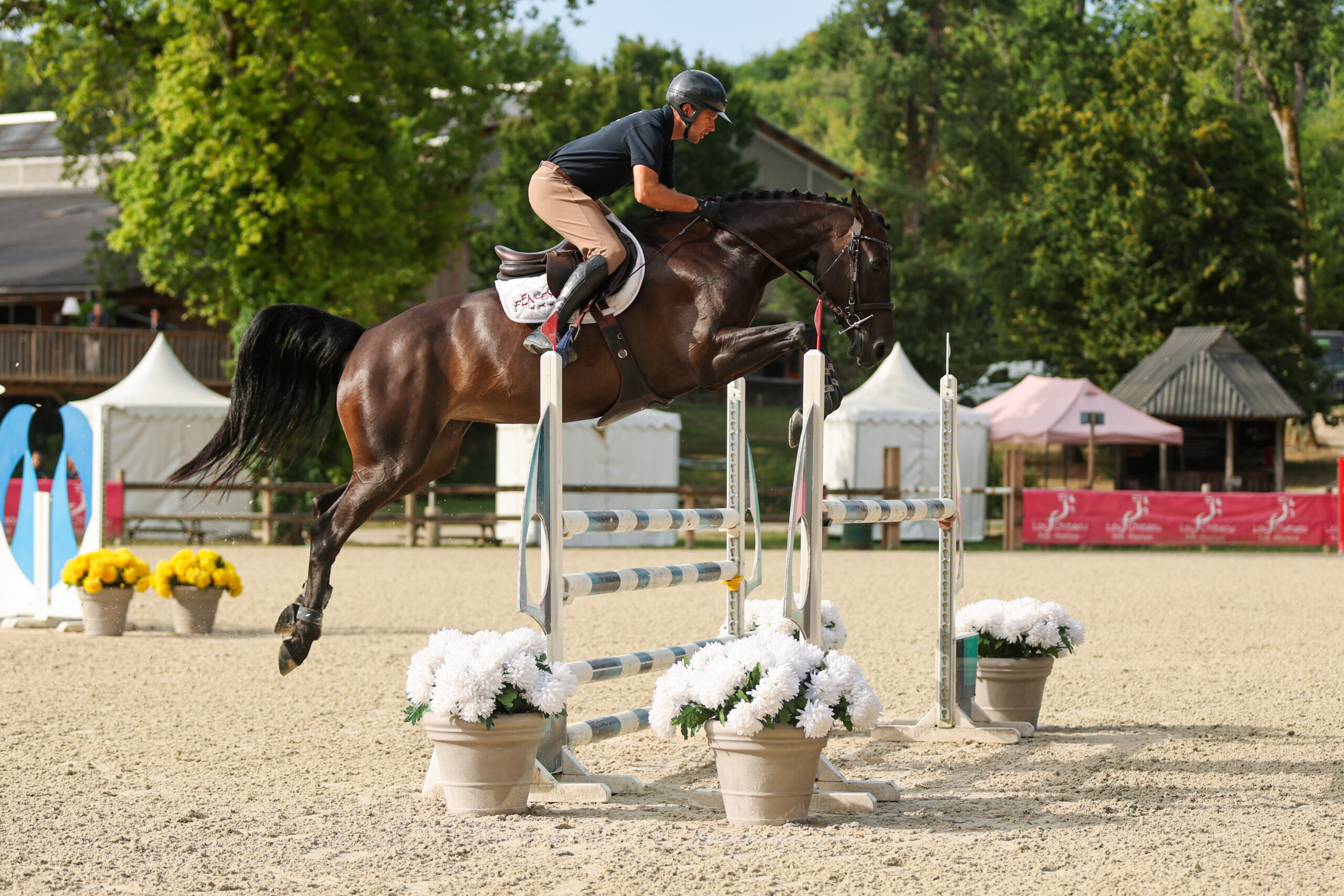 23 - KINDER PING'HUIT (FEMELLE - 5 ANS - CONTHARGOS x SIR LUI)