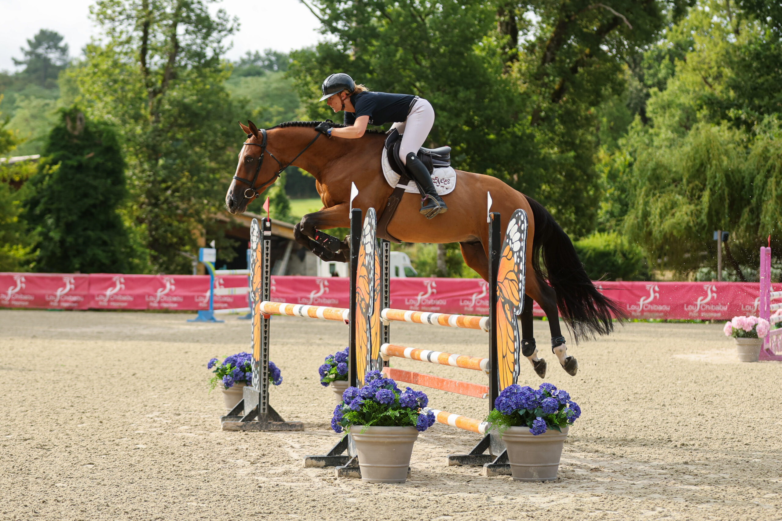 22 - KASPAROFF DU BIDOU (MALE - 5 ANS - CHROME D'IVRAIE x CARDERO)