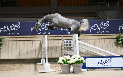MARDI 30 JUIN : RECORDS BATTUS POUR LA 5E EDITION DES VENTES DE DEAUVILLE SELECTION