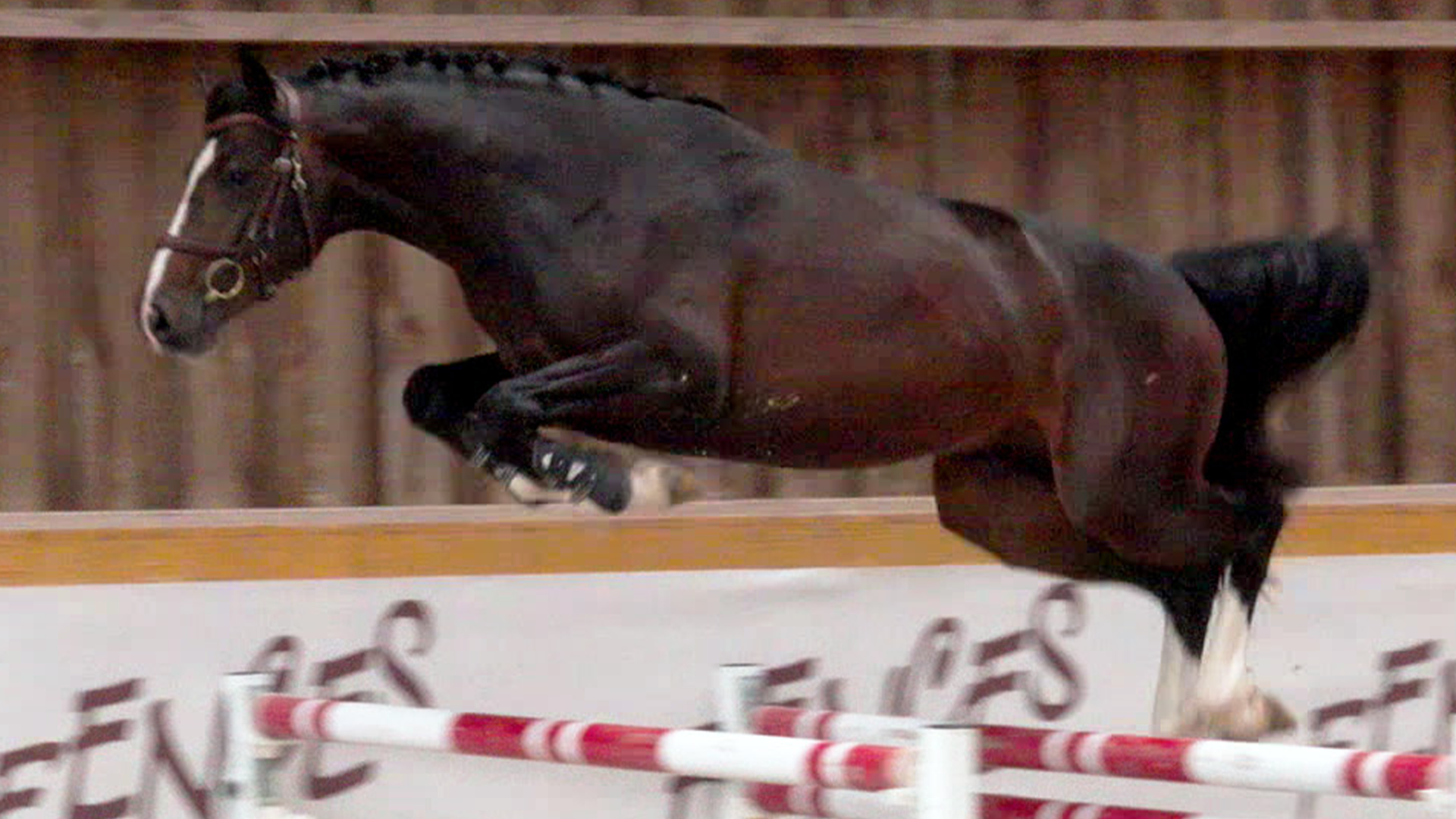 111 - NESTOR GP