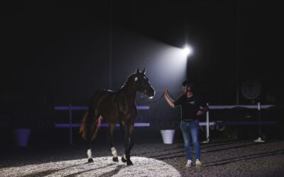 DEAUVILLE CLASSIC AUCTION : UN COUP DE TONNERRE ET UNE BELLE PLUIE D’ENCHÈRES